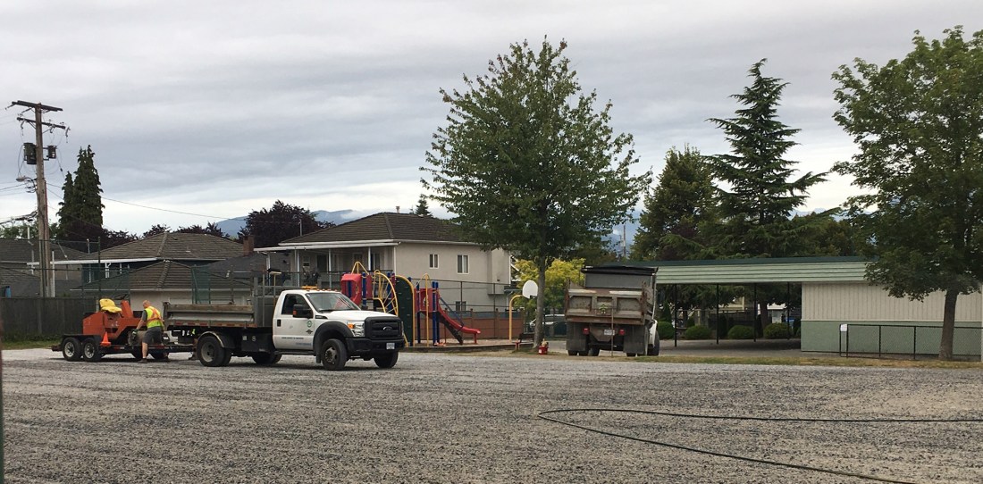 Garibaldi surfacing July 30